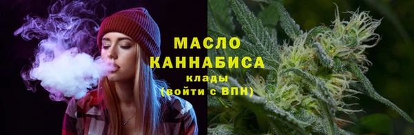 молекула духа Богородск
