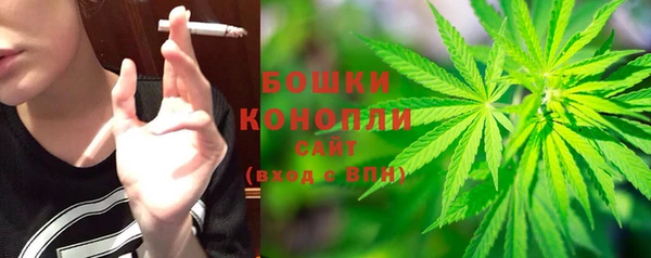 ГАЛЛЮЦИНОГЕННЫЕ ГРИБЫ Беломорск