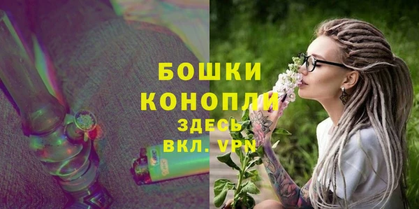 Альфа ПВП Белокуриха