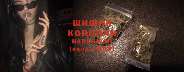 молекула духа Богородск