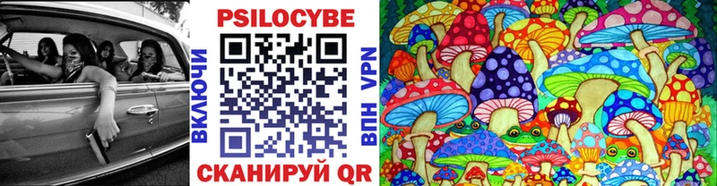 блэк спрут ссылка  Невель  Галлюциногенные грибы Magic Shrooms 